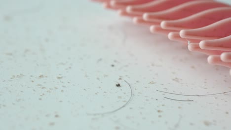 close up of hair brush with hair on it