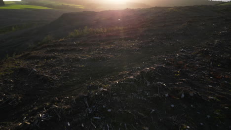 Waldgrundstück-In-Neuseeland-Komplett-Abgeholzt