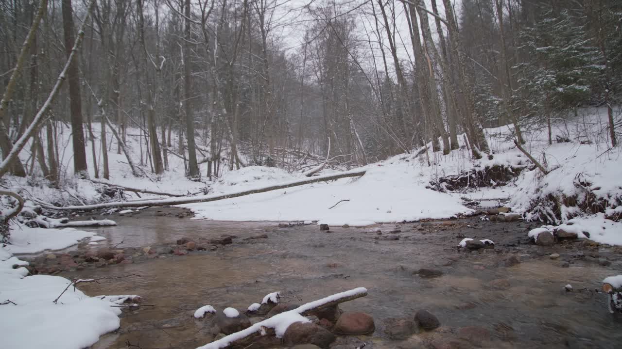 неглубокая река в зимней суше в лесу