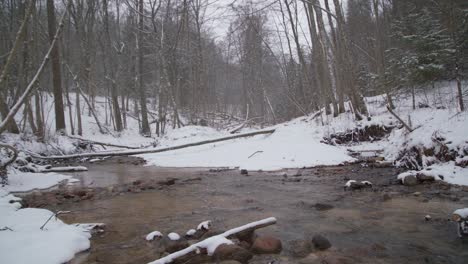 shallow running river in winter land in a forest