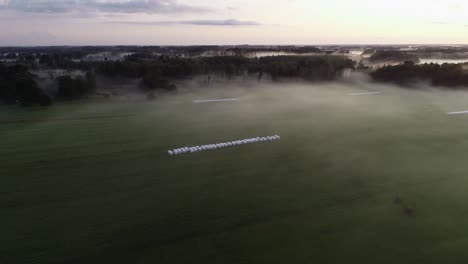 Flug-über-Sonnenuntergangsnebel-In-Goldener-Stunde-Nach-Regen