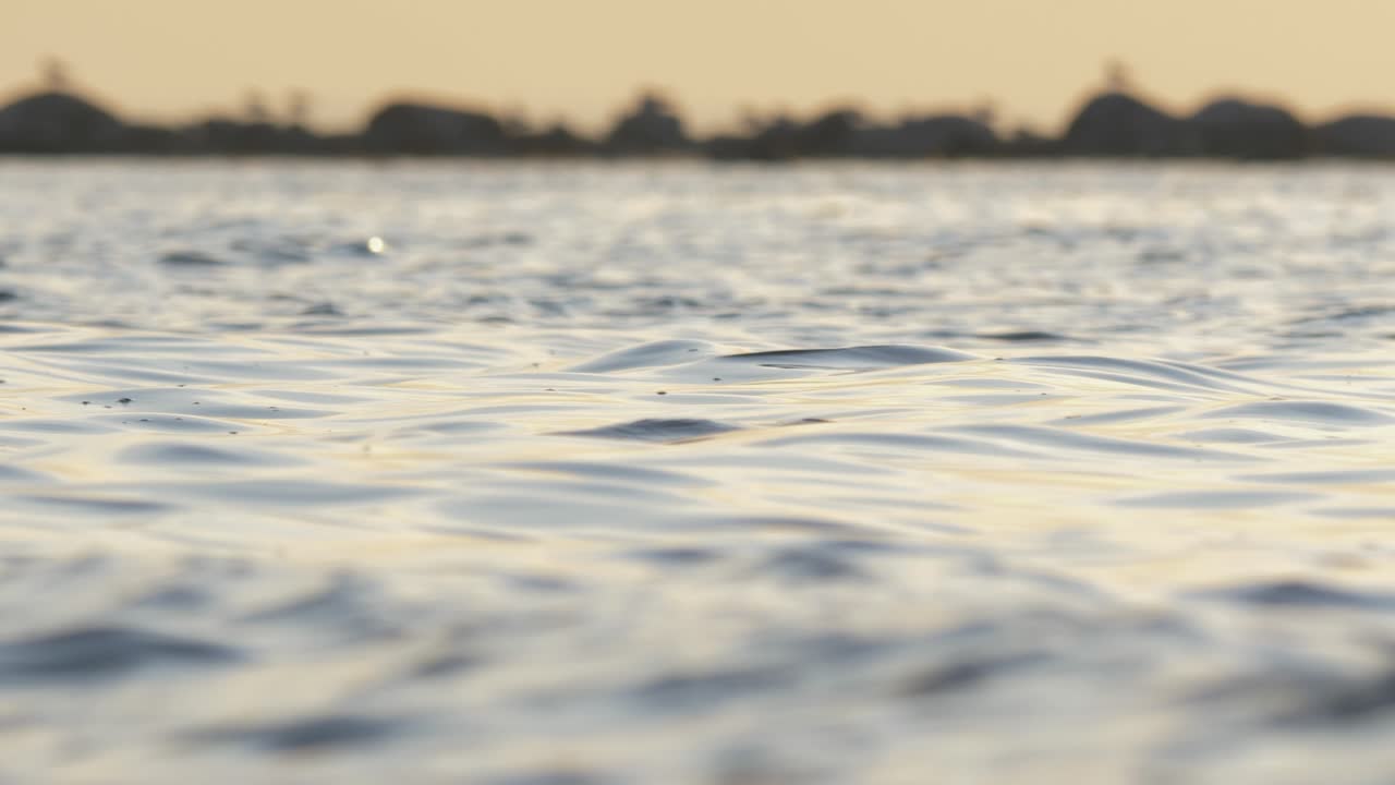 발트해 깊은 곳으로 잠수하는 야생 회색 바다표범의 서사시적인 슬로우 모션