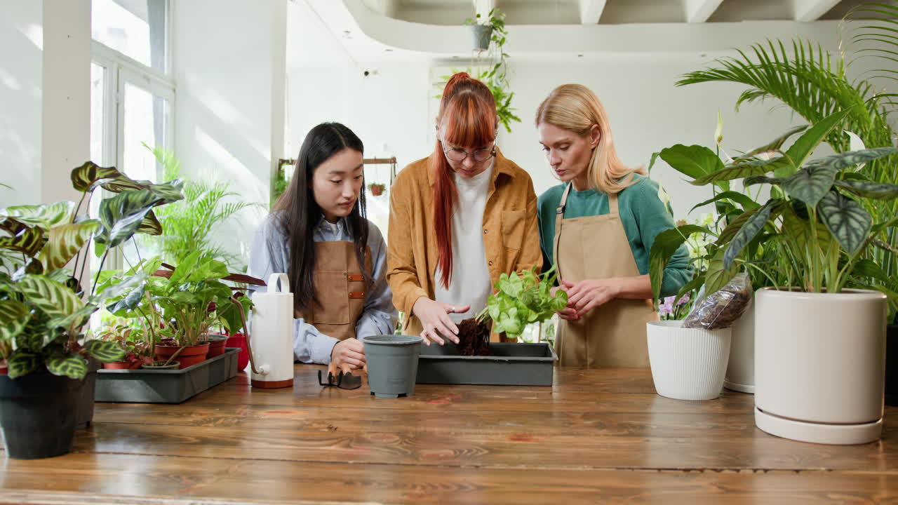 женская команда в магазине растений