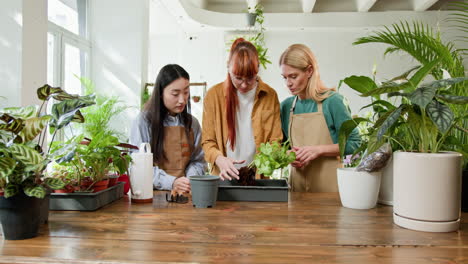 equipo de mujeres en una tienda de plantas