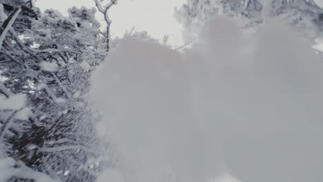 Low-angle-shot-of-skier-dropping-snow-from-the-frozen-branch-with-a-ski-pole,-wide