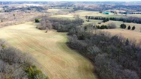 Trucking-pan-of-a-beautiful-bluegrass-farm-in-Frankfort-Kentucky-with-dark-forests