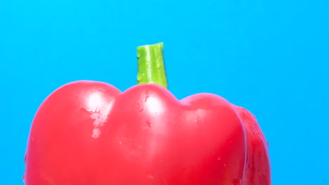 red paprika pepper on a blue background with water drops fresh vegetables cooking concept red paprika pepper on a blue background with water drops fresh vegetables cooking concept