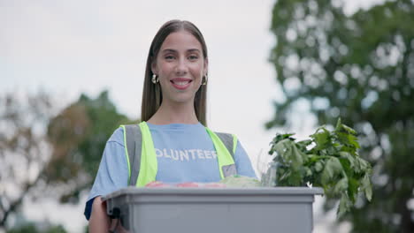 voluntario de la ciudad, donación de comestibles