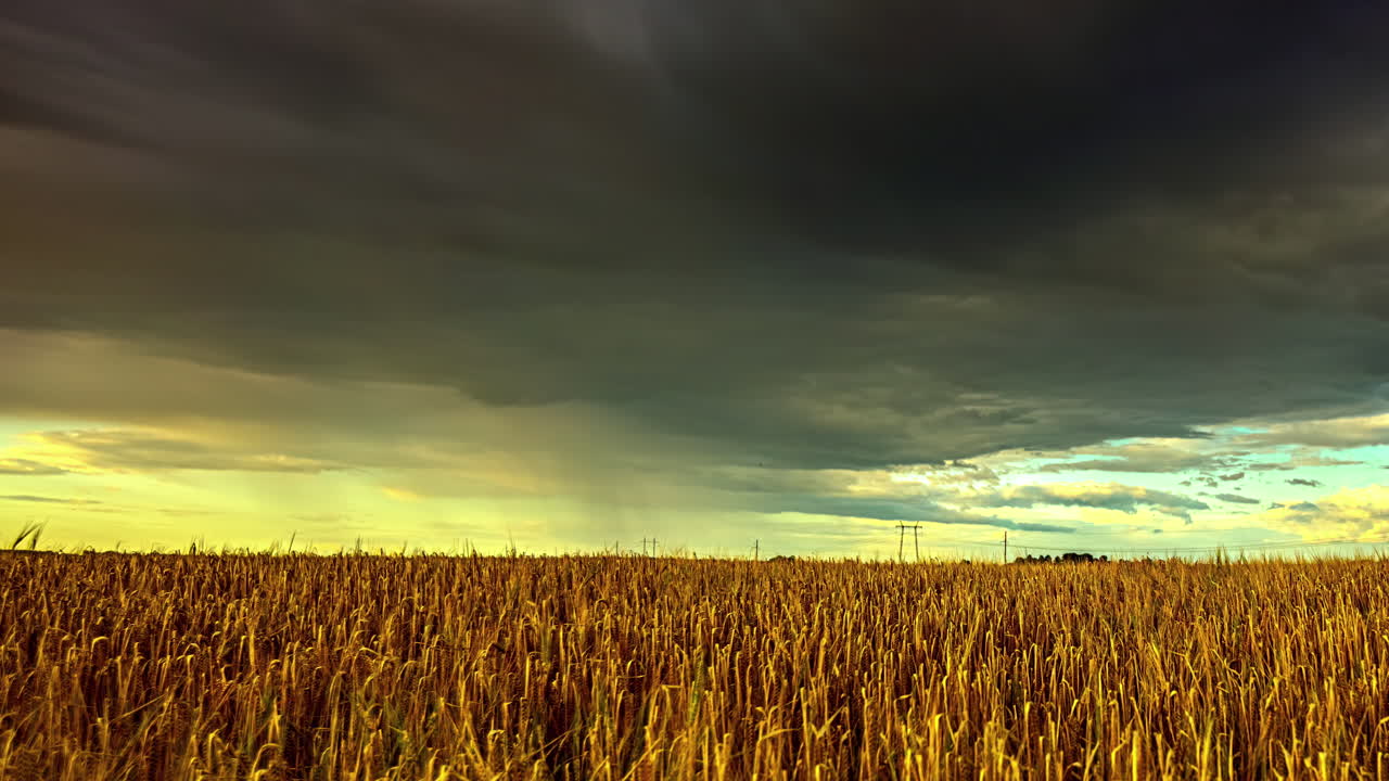 농장 작물 들 을  ⁇ 는 폭풍 - 극적 인, 폭풍적 인 시간 간격