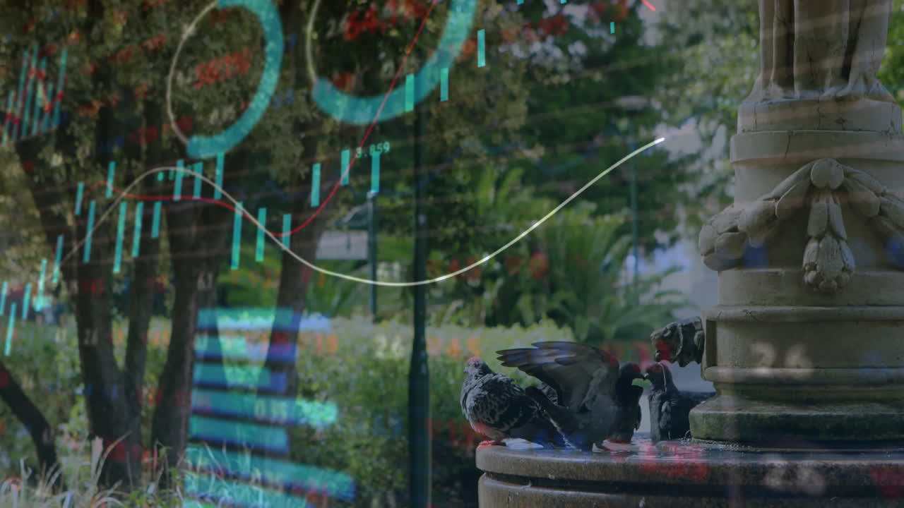 Five pigeons perching on stone fountain rim, financial charts animating across park flat design