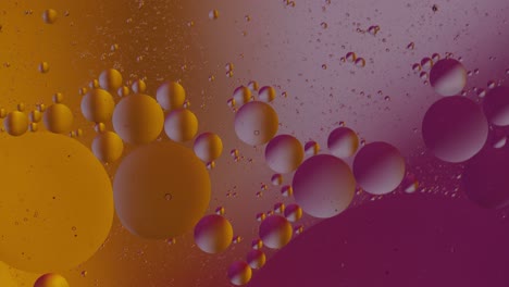 macro structure of colorful oil bubbles. chaotic motion. abstract multicolored background. pattern