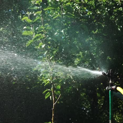 automatic sprayers in the garden