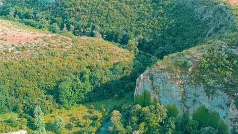 Drohnenaufnahmen-über-Grünem-Wald,-Umgeben-Von-Felsen,-Durch-Die-Ein-Fluss-Fließt