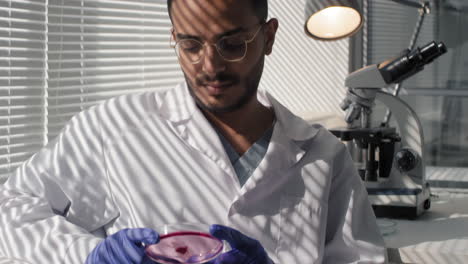 scientist examining a petri dish in a laboratory