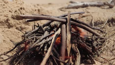 a slow motion shot of a small fire burning on a beach