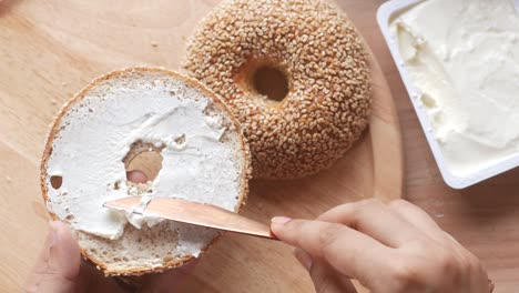 cheese cream spread on fresh bagel bread