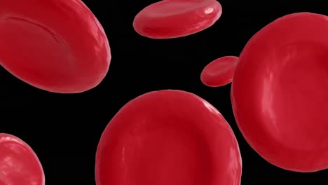 Animation-of-micro-of-red-blood-cells-on-black-background