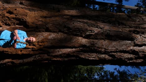 a retired hiker does a trendy dance underneath a massive tree