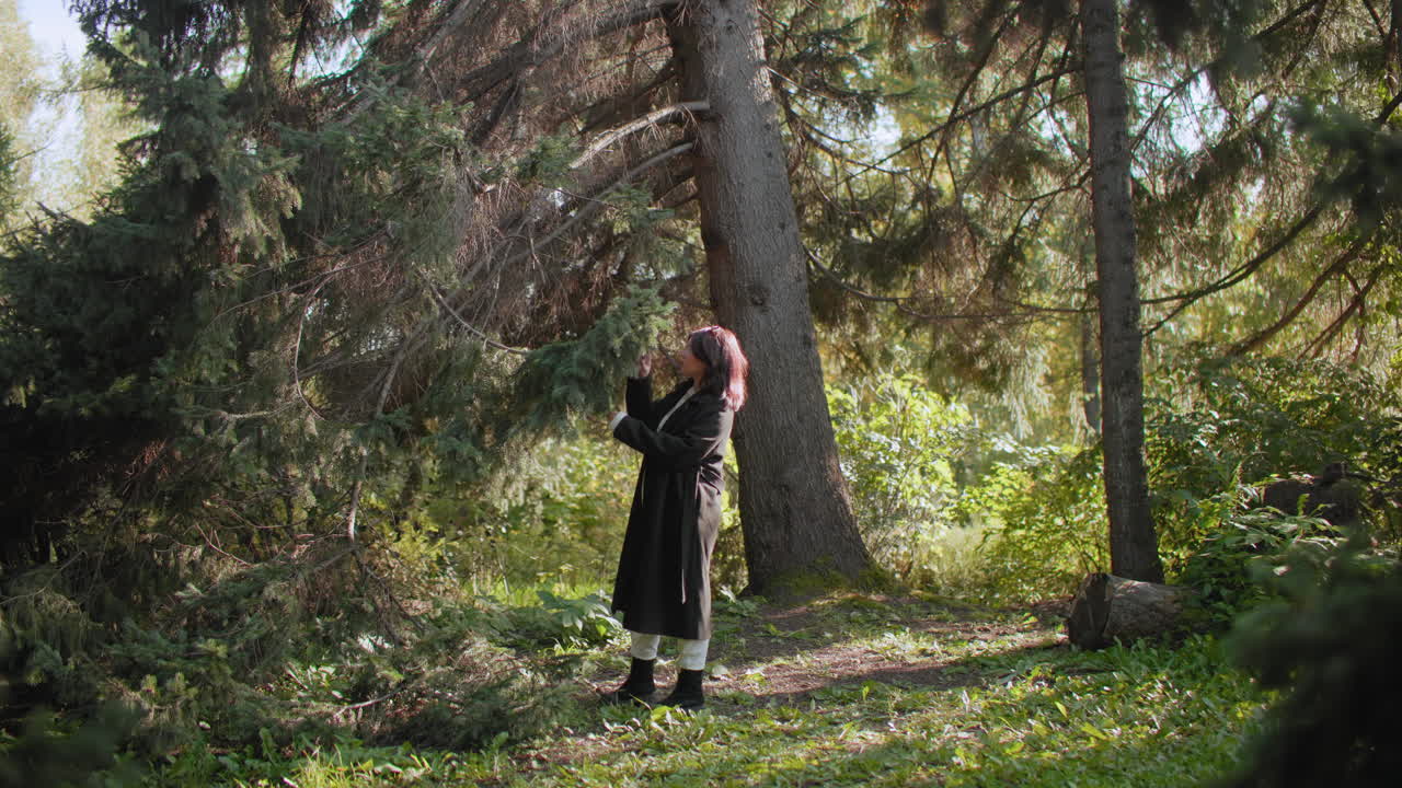 plano general de un amante de la naturaleza tocando la rama de un árbol desnudo en un bosque iluminado por el sol, paseo tranquilo bajo coníferas, follaje bokeh suave, admiración serena al aire libre, ambiente de temporada, conexión consciente con la naturaleza