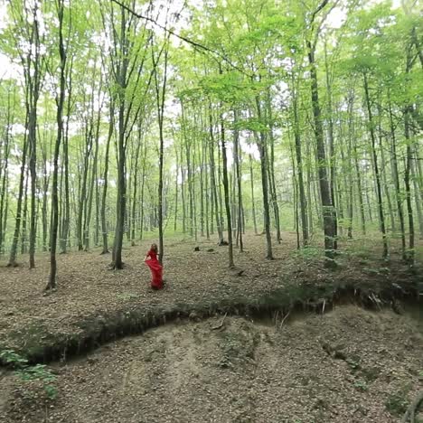 romantic stylish girl in the forest