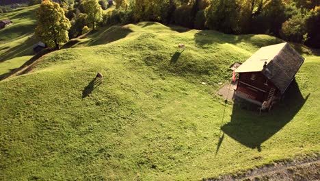 Imágenes-Aéreas-De-Drones-Empujando-Sobre-Prados-Alpinos-En-Los-Alpes-Suizos,-Otoño