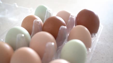 A-dozen-organic-eggs-straight-from-the-farm