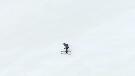 skier aerial view