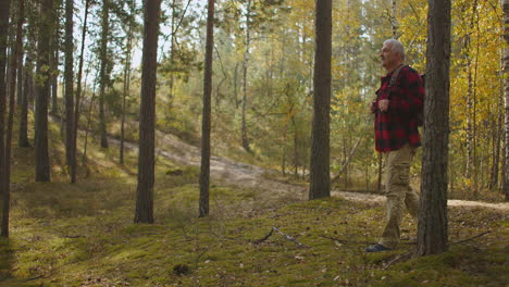 picturesque and fabulous autumn forest with sunbeams middle-aged traveller with backpack is walking inside