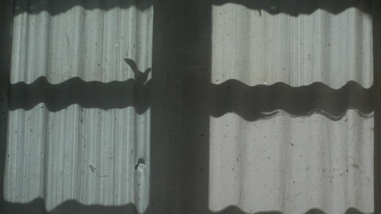 창문의 그림자와 커튼에 있는 나비