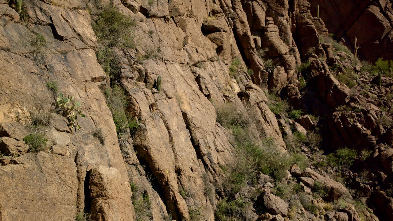 drone disparó panorámica de poco cactus en el lado de la montaña a tucson arizona