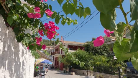 im vordergrund wiegende, lebendige blumen, eine ruhige wohnstraße von parga