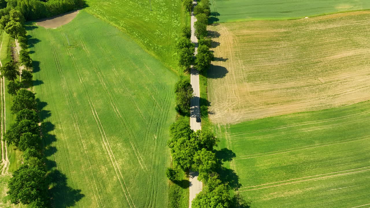 Aerial view of vast green fields and forested areas under a bright blue sky with fluffy clouds.