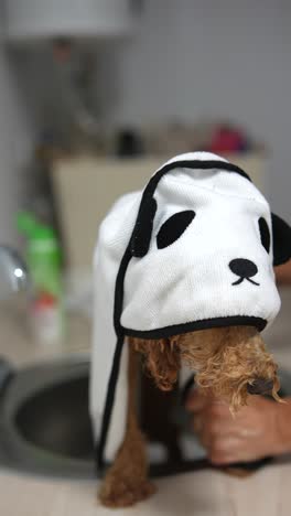 dog drying after bath in a panda towel