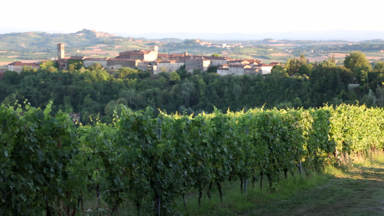 Monferrato is a country in Piedmont Italy famous for wine production