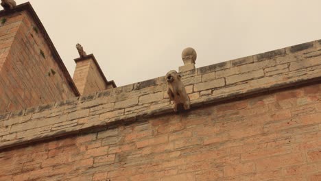 low angle shot of carved gargoyles along the roof of parish church of santa maria in sagunto, spain on a cloudy day