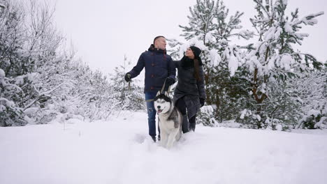 Man-and-woman-have-fun-walking-with-Siberian-husky-in-winter-forest-playing-and-throwing-snow-in-slow-motion