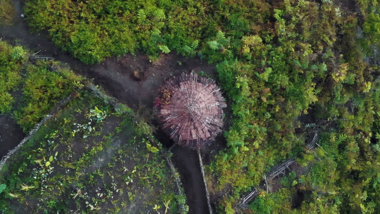 인도네시아 파푸아 산에 있는 토착 파푸아 오두막