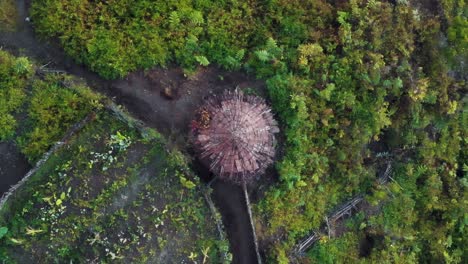 una cabaña papú nativa en lo alto de las montañas de papú, indonesia