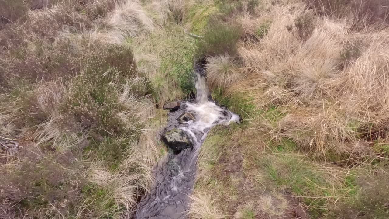 등산로 옆 산에서 내려오는 작은 개울의 핸드헬드 샷