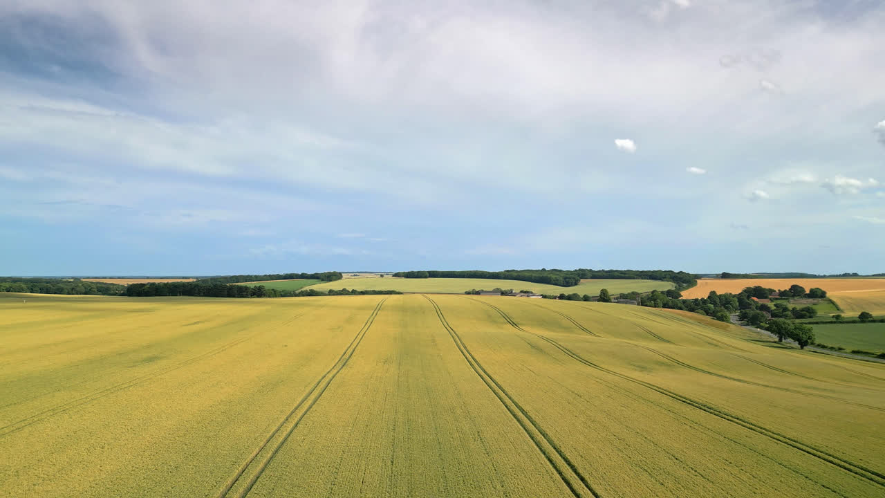 Drone captures Lincolnshire countryside, farms, fields, wheat, barley, tractor tracks, road