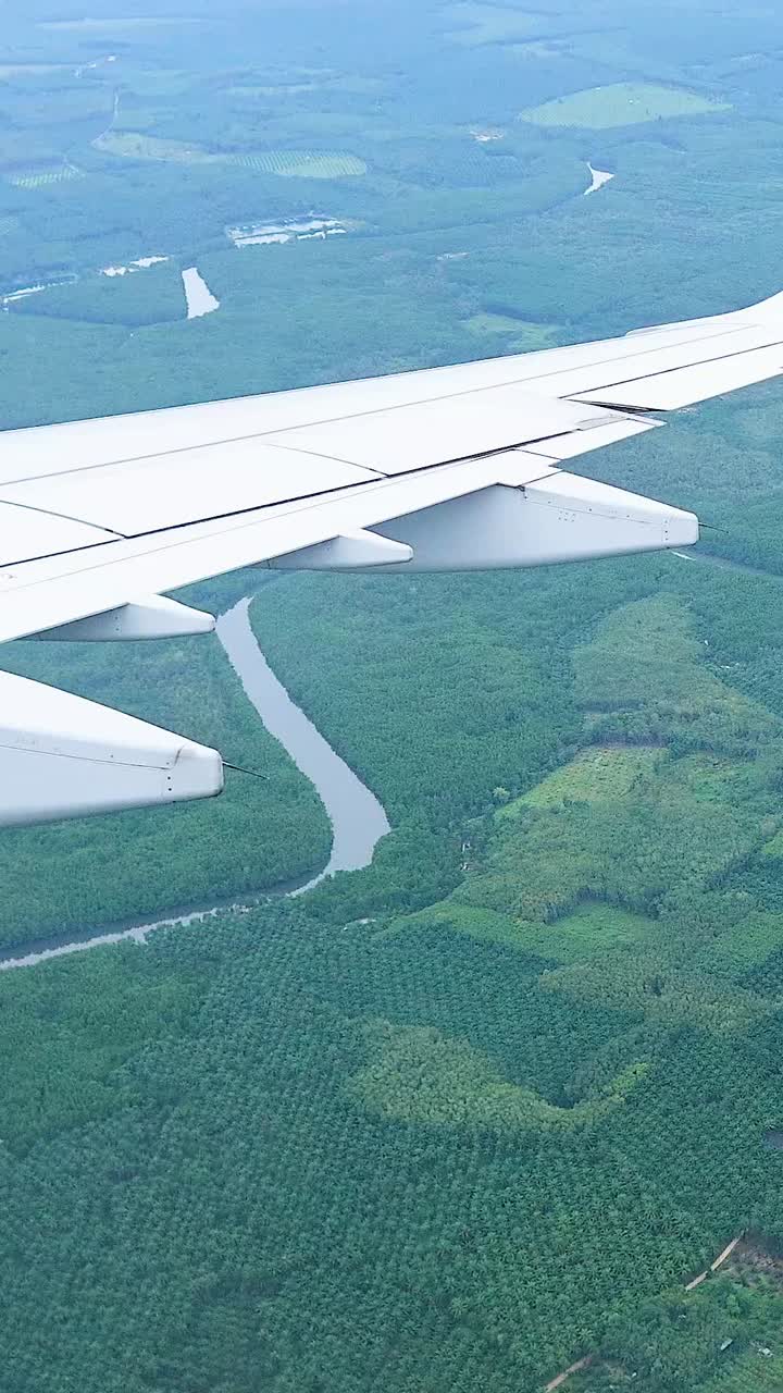 vuelo panorámico sobre los exuberantes paisajes de krabi