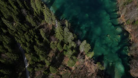 An-aerial-top-down-perspective-showcases-the-lush-greenery-and-vibrant-waters-of-Cresta-See-in-Graubünden,-Switzerland,-reflecting-the-concept-of-natural-beauty-and-outdoor-exploration