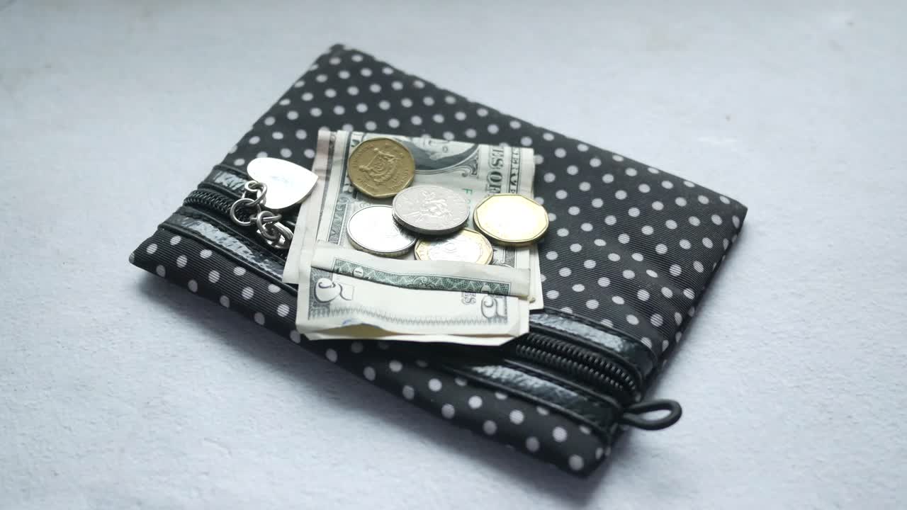Small Purse with Money and Coins