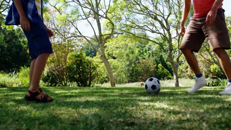 Father-and-son-playing-football-in-park-4k