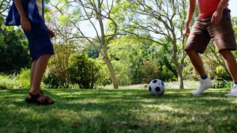 padre e hijo jugando al fútbol en el parque 4k