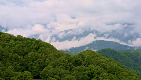 the great smokies bathed in cinematic haze.