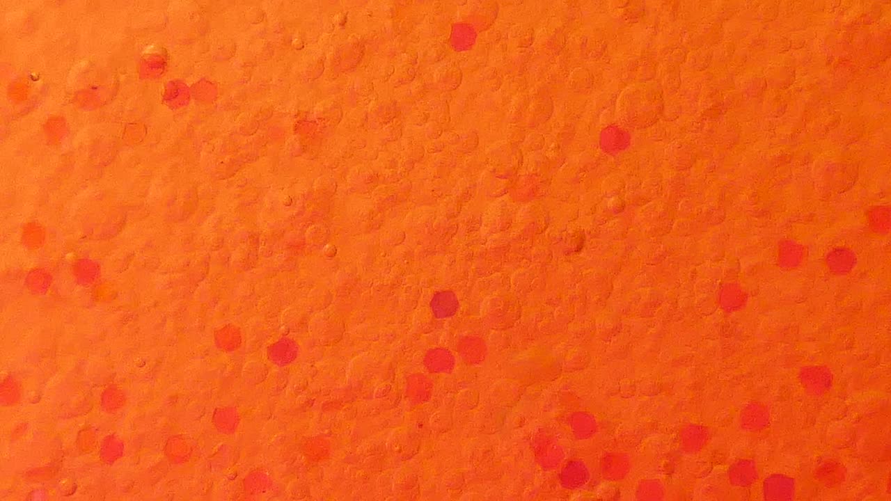 burbujas de aceite rosadas y brillo