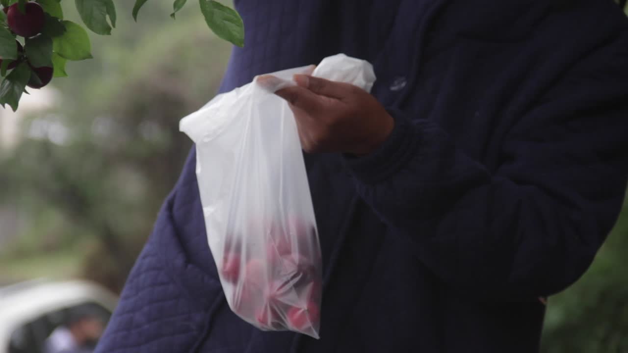비닐 봉투 안에 체리를 넣어 손을 닫습니다