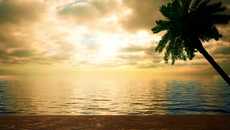 an empty beach scene at sunset with gentle waves breaking ashore and a king palm tree blowing in the breeze, loop-able