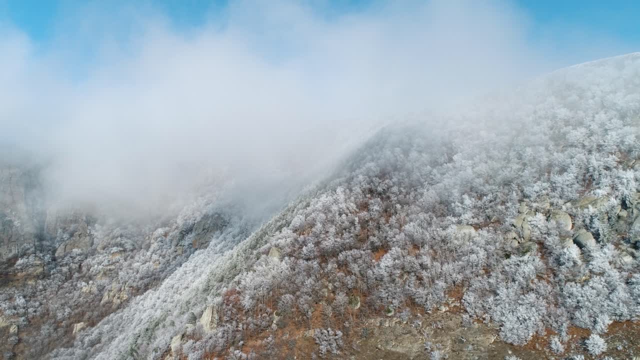 안개로 얼어붙은 산꼭대기